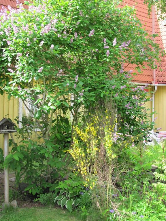 Heimdallhuset Bed and Breakfast Skanes Varsjo Exterior foto